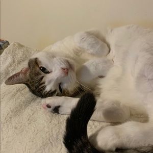 Meet your Posher, Heidi